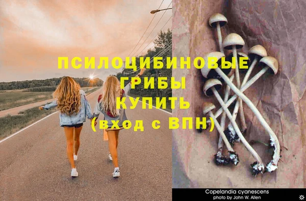 ешки Заволжье