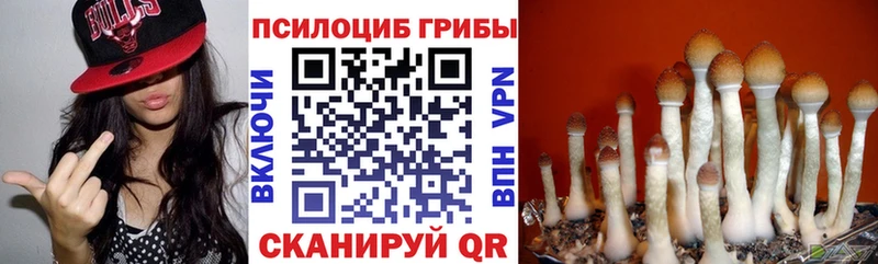 Псилоцибиновые грибы Magic Shrooms Купить закладки Можга