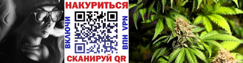 Купить закладки  Можга  Бошки марихуана White Widow 